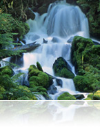 POWERFULLY GREEN