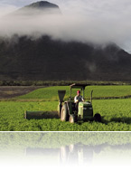 NUTRIWAY - ORGANIC FARMS