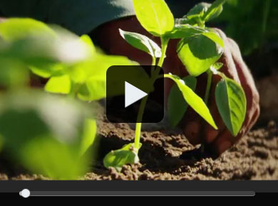 About Amway - Environment