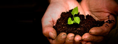 AMWAY - SUSTAINABILITY